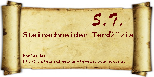 Steinschneider Terézia névjegykártya